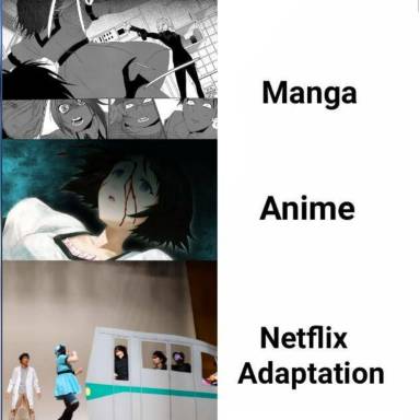 Netflix Adaptation